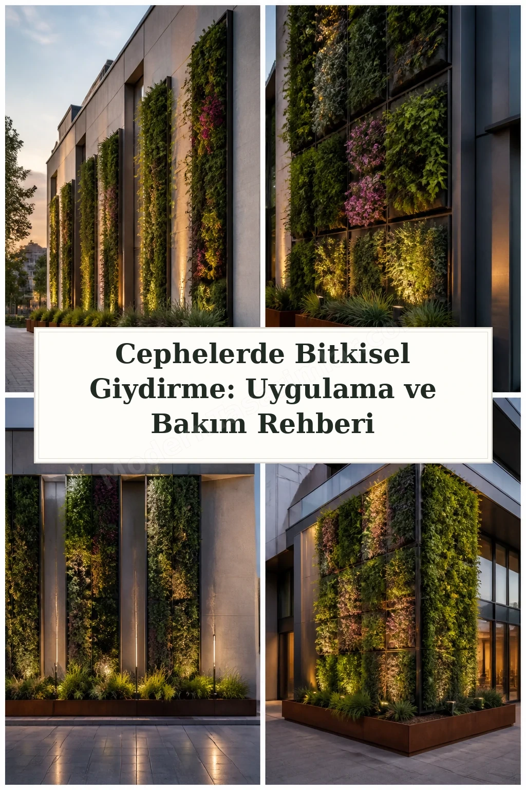 Cephelerde Bitkisel Giydirme: Uygulama ve Bakım Rehberi için dört tasarım fikri