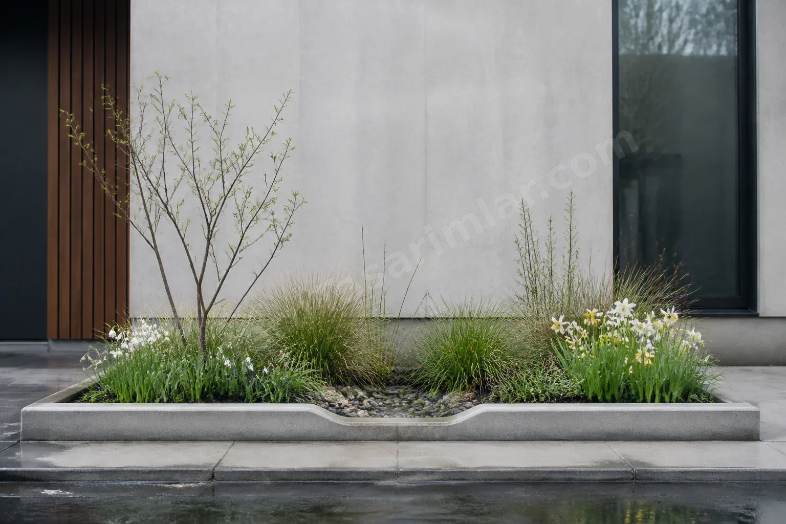Minimalist cephe yağmur bahçesi, düz beton bordür ve alçak çimler